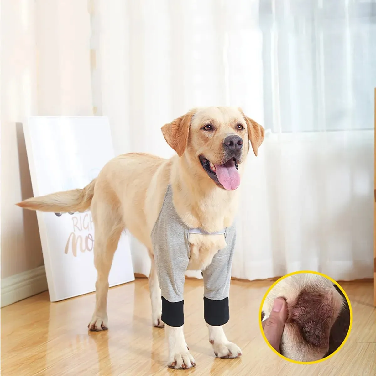 AnniePaw Dog Pain Relief Shoulder Support Elbow Protector Pad