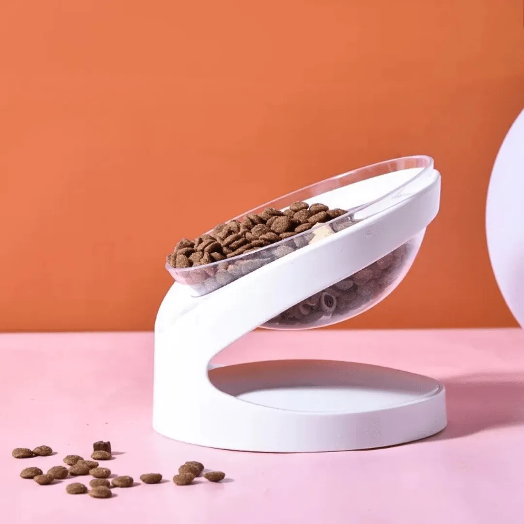 Sleek Eats Modern Cat Bowl With Stand